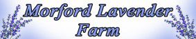 Morford-lavender-farm-2